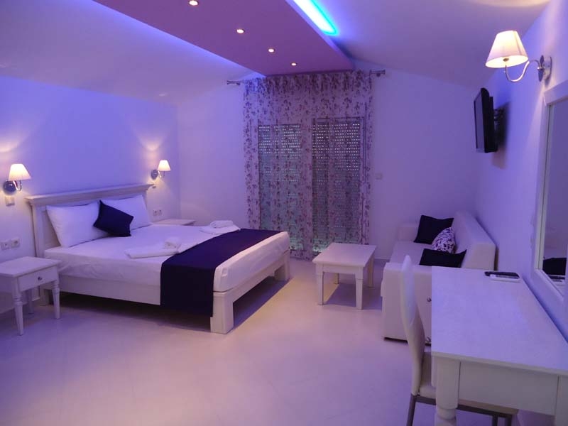 Luxury Studio 301